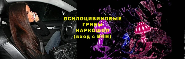 стаф Алексин