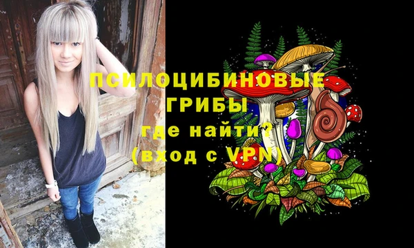 стаф Алексин