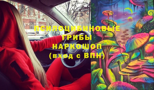 стаф Алексеевка